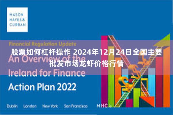 股票如何杠杆操作 2024年12月24日全国主要批发市场龙虾价格行情