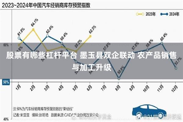 股票有哪些杠杆平台 墨玉县双企联动 农产品销售与加工升级