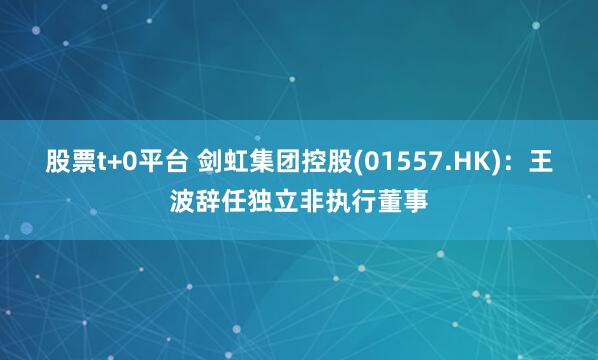 股票t+0平台 剑虹集团控股(01557.HK)：王波辞任独立非执行董事