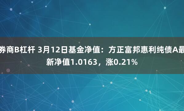 券商B杠杆 3月12日基金净值：方正富邦惠利纯债A最新净值1.0163，涨0.21%