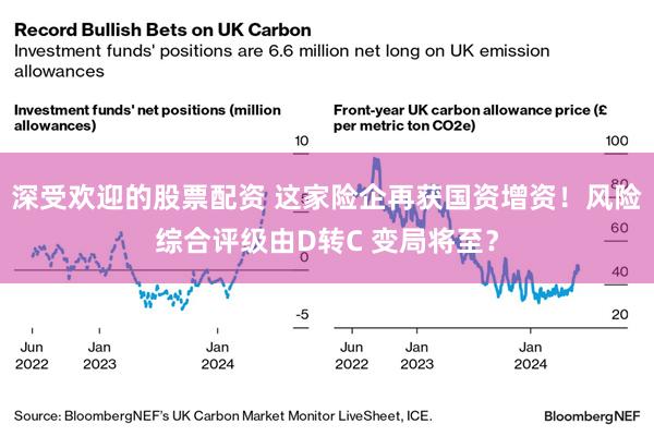 深受欢迎的股票配资 这家险企再获国资增资！风险综合评级由D转C 变局将至？