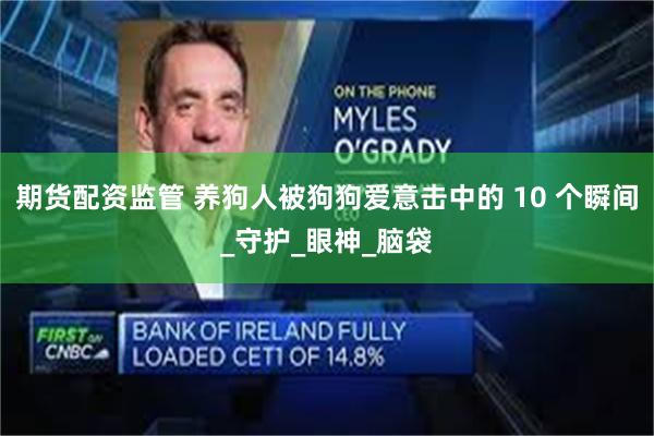 期货配资监管 养狗人被狗狗爱意击中的 10 个瞬间_守护_眼神_脑袋