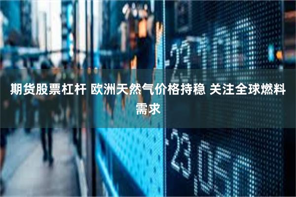 期货股票杠杆 欧洲天然气价格持稳 关注全球燃料需求